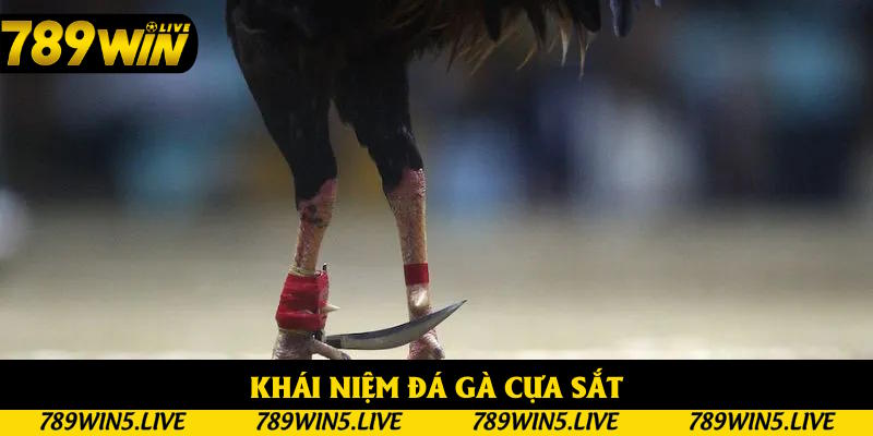 Tổng quan khái niệm đá gà cựa sắt