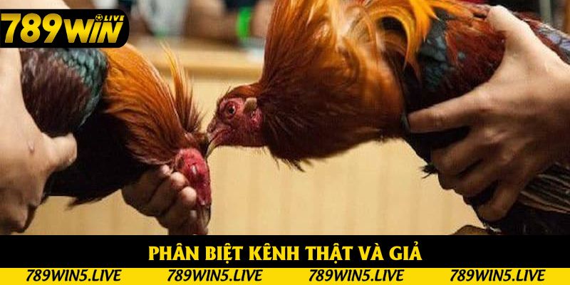 Tránh kênh giả với hình mờ, âm thanh không đồng bộ